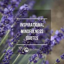 Mindfulness Quotes 
